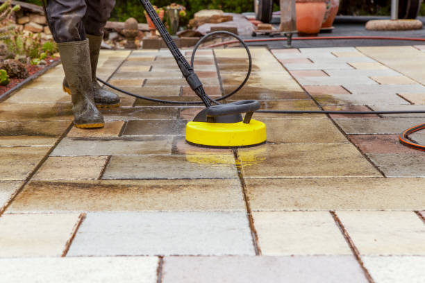 Best Roof Washing  in Saline, MI